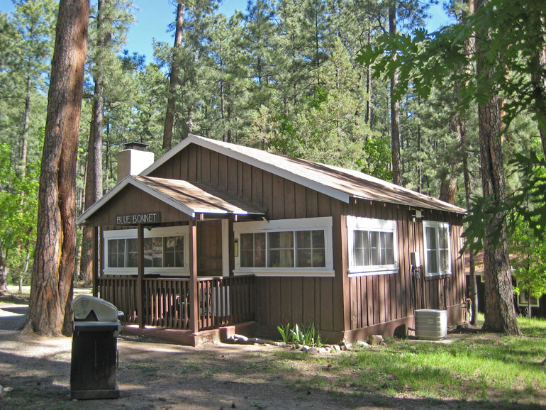 Bluebonnet Rental Cabin