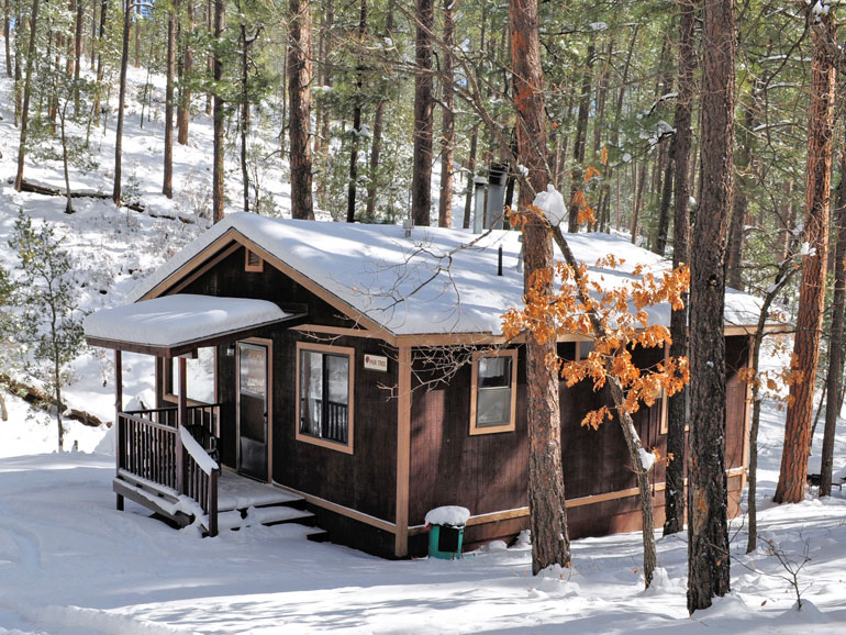 Pair Tree Rental Cabin