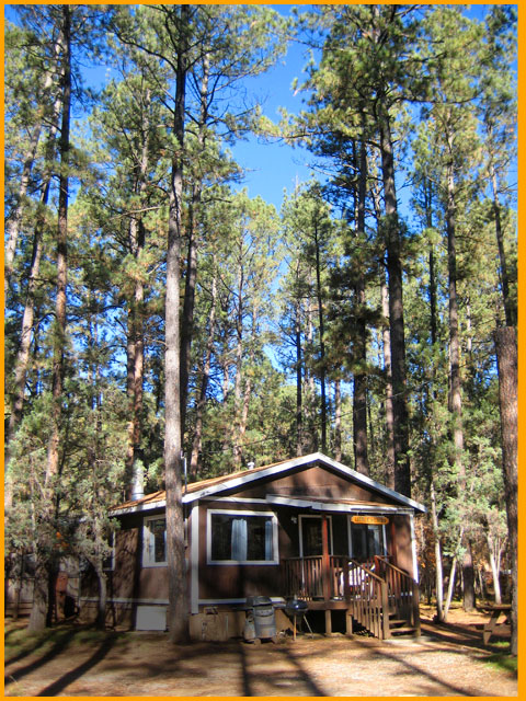 1 Bedroom Rental Cabins