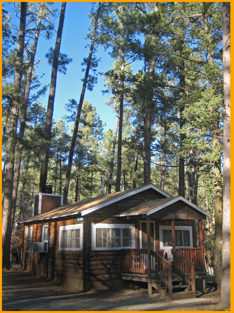 Studio Rental Cabins