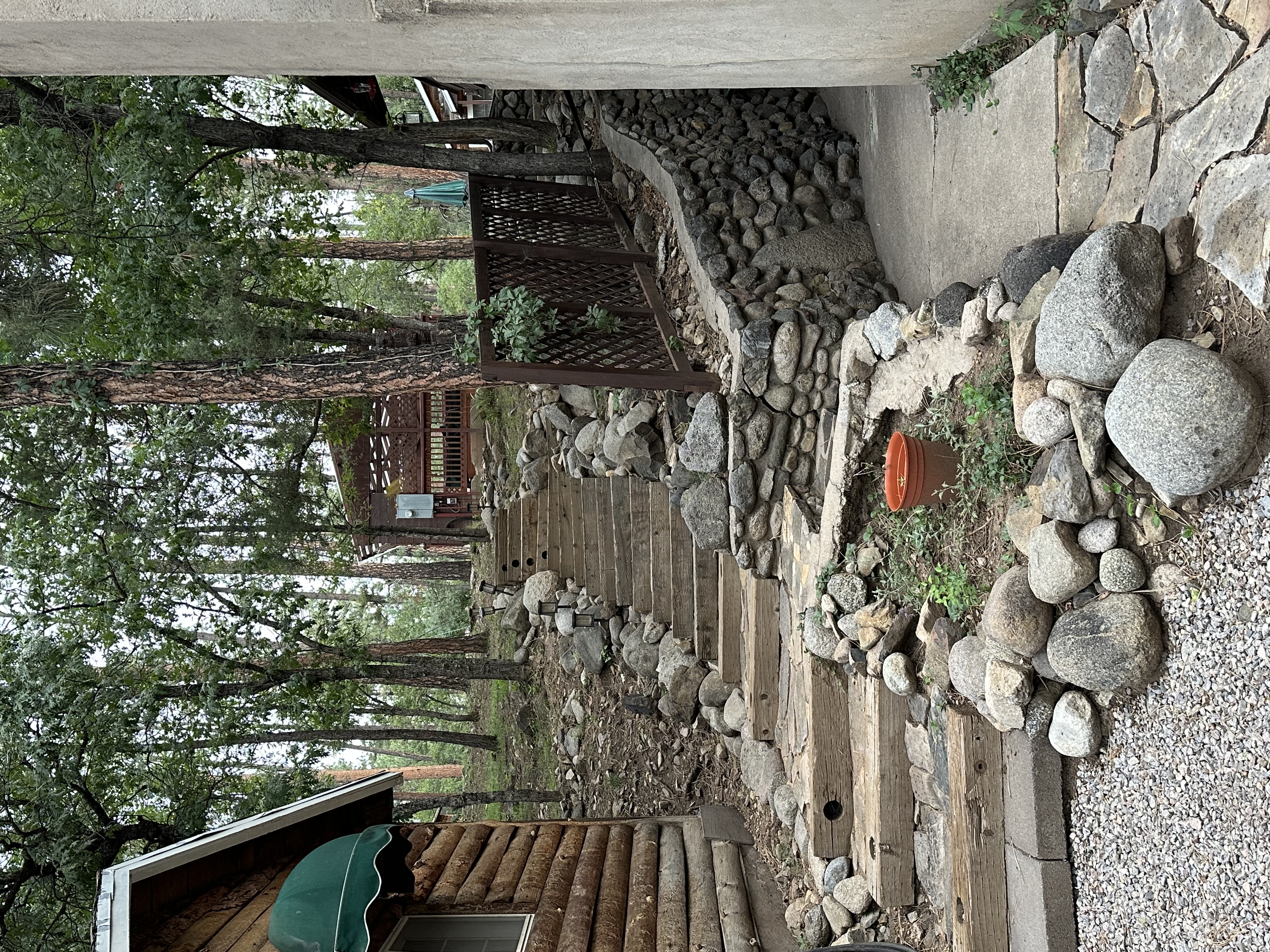 Wooded grounds at Dan Dee Cabins